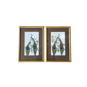 Framed Peacock Feather Art Pair Mixed Media 14" x 9.75" Elegant Wall Decor